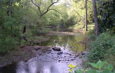 Creek at Morrow Mill
